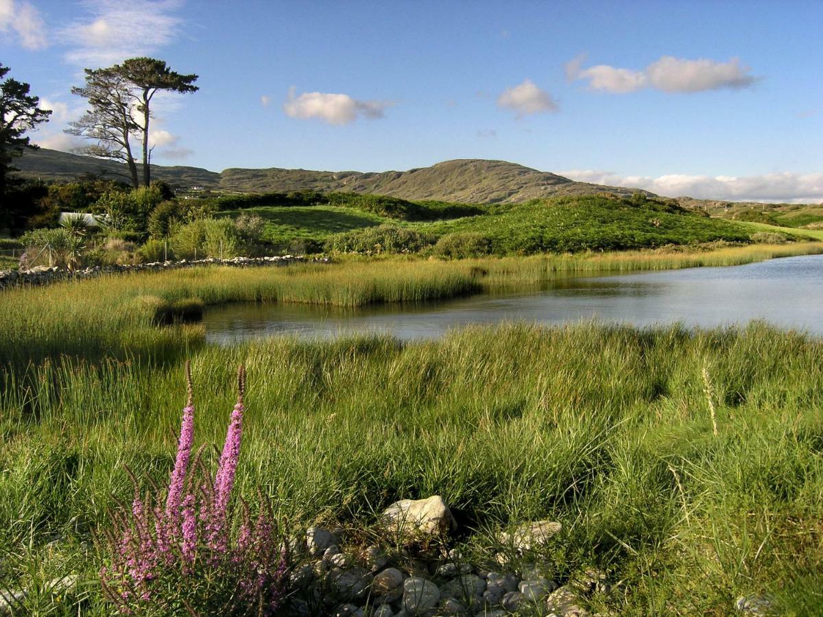 Ballycommane House & Garden Durrus Екстер'єр фото