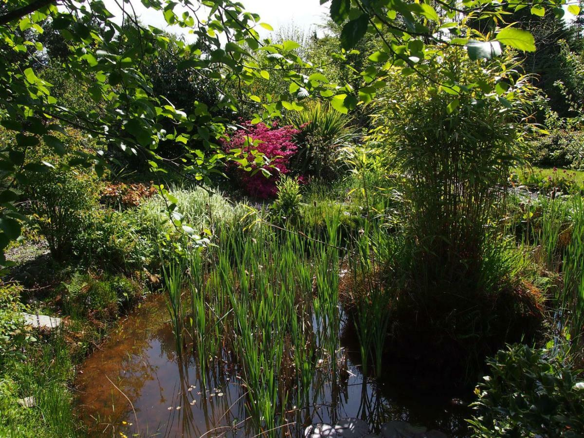 Ballycommane House & Garden Durrus Екстер'єр фото